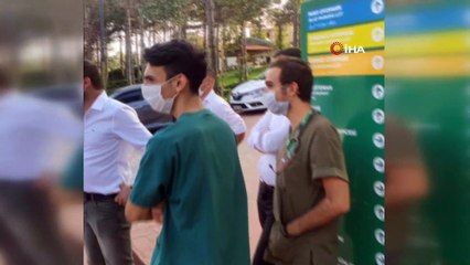 İstanbul’da rehabilitasyon süreci tamamlanan leylek ve martılar doğaya salındı