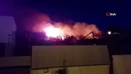 Söke'de zeytinlik ve ormanlık alanda yangın