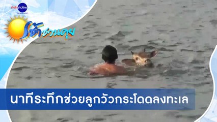 เช้าชวนคุย ช่วงที่ 4 วันจันทร์ที่ 5 ตุลาคม 2563