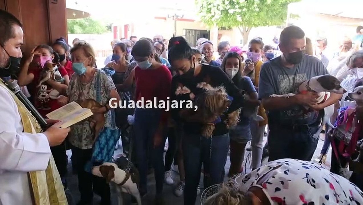 Blessings for pets at Mexican church