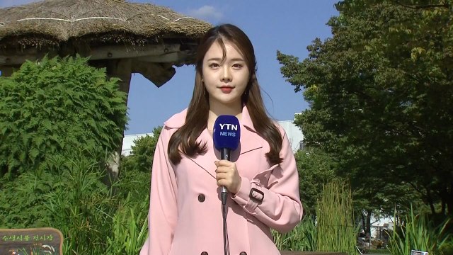[날씨] 맑지만 바람 불며 서늘...내일 더 쌀쌀해요 / YTN