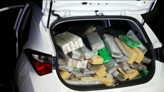 PRF realiza apreensão de quase R$ 50 mil em maconha e skunk
