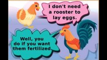 Eggitarians Do You Know How Chicken Eggs are Fertilized