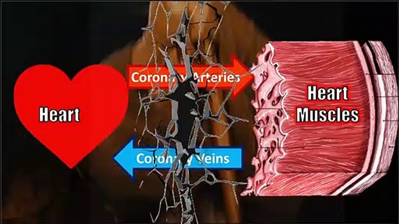 Circulatory System - Gr 9 _ 1st Q _ Lesson 2 (Part 4 - Tagalog) ( 720 X 1280 )