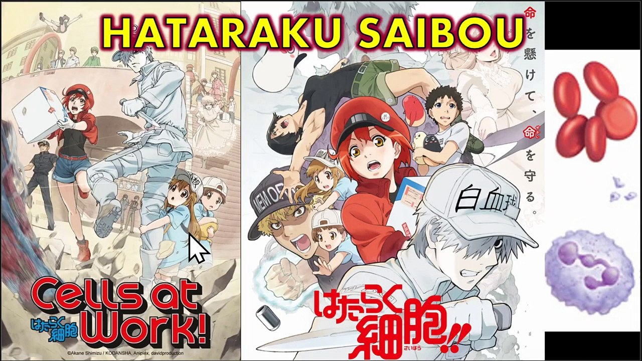 Circulatory System (Blood) - Gr 9 _ 1st Q _ Lesson 2 (Part 2 - Tagalog) ( 720 X 1280 )