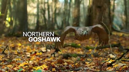 Tiny World — Behind the Scenes Apple TV+