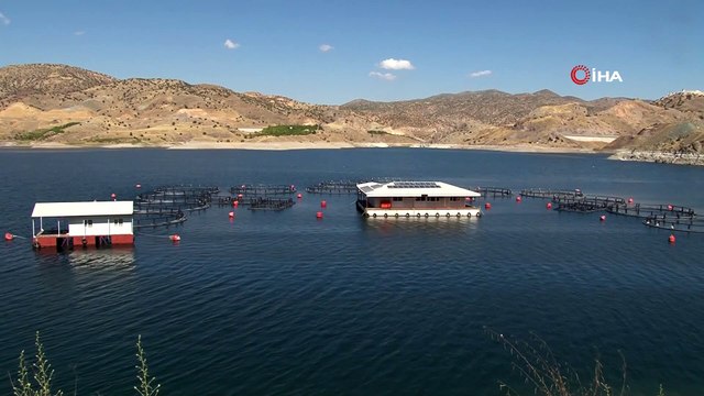 Malatya’dan 11 ülkeye balık ihracatı
