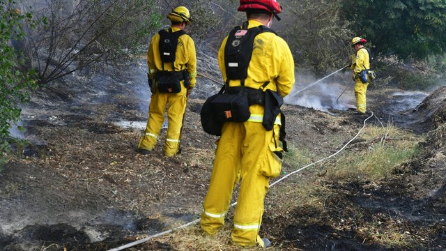 California wildfires: Record number of hectares burned this year