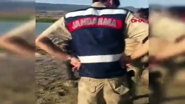 Bataklıkta ölüm kalım savaşı