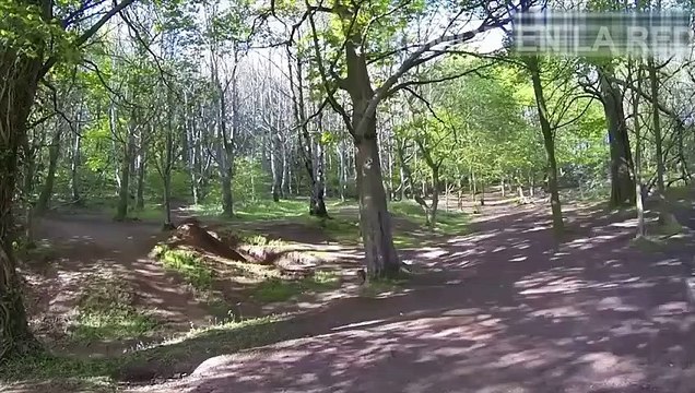 HUMOR EN LA RED 008 ¡¡¡ HUMOR ON THE NET 008 ¡¡¡ HUMOUR SUR LE NET 008 ¡¡¡