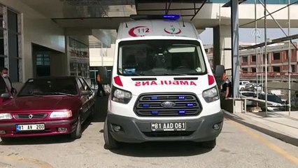 Kestane toplarken uçuruma yuvarlanan kişi yaralandı - DÜZCE