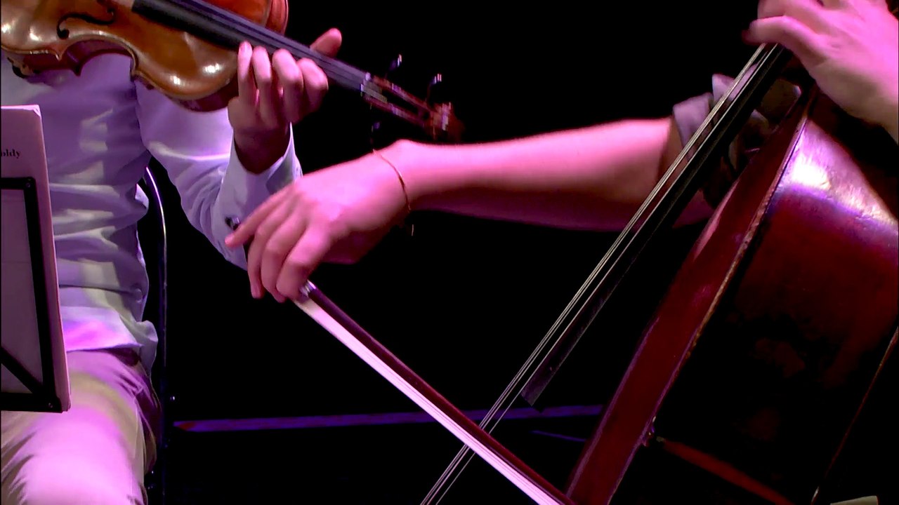 Felix Mendelssohn : Trio pour piano et cordes n° 2 en ut mineur op. 66 - I. Allegro energico e con fuoco