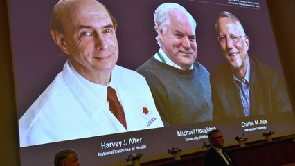 Los descubridores de la hepatitis C, premio Nobel de Medicina