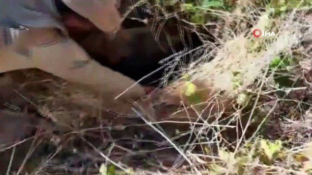 Diyarbakır’da 2 ton 628 kilo esrar ile 826 bin kök kenevir ele geçirildi