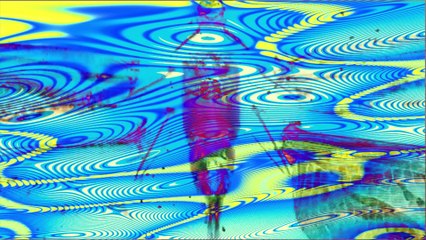 variations on a swarm