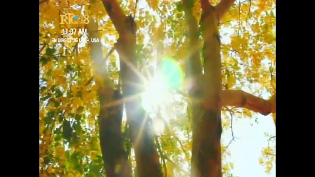 Legliz Jezikri pou Sen Dènye Jou yo