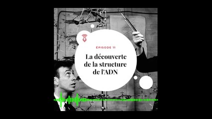 [PODCAST EXTRAIT - Le Jour J - Episode 11 ]    La découverte de la structure de l'ADN