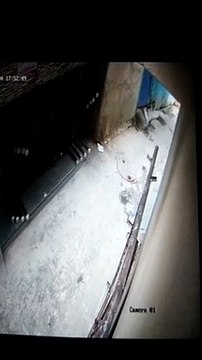तीसरी मंजिल से गिरने से 40 वर्षीय व्यक्ति की हुई मौत, पतंग निकालते वक्त फिसला पैर