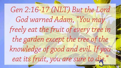 TIG #2 - Why did God put the tree of knowledge in the garden? - Understanding the Great I AM - Part 2