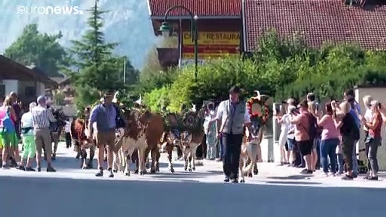 Auf der Alm, da gibt's bald koa Kuh mehr