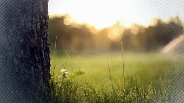 A vendre - Appartement - Bulle (1630) - 3.5 pièces - 82m²