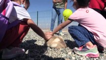 Siirtli çocuklara hayvan sevgisi anlatıldı