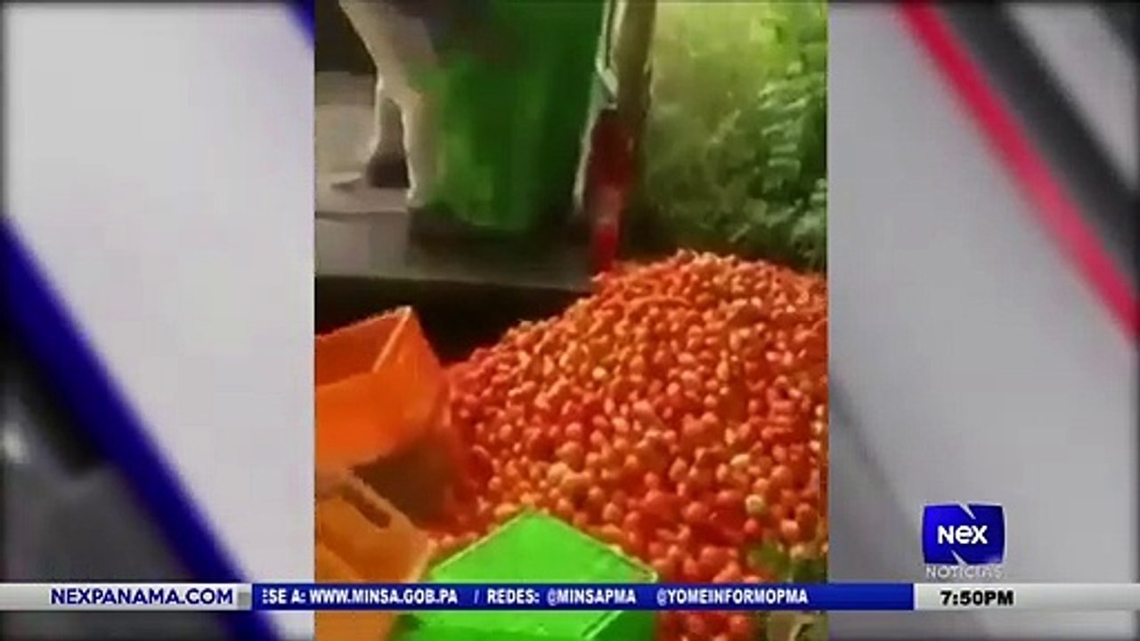 Apoyo para agro emprendedoras - Nex Noticias