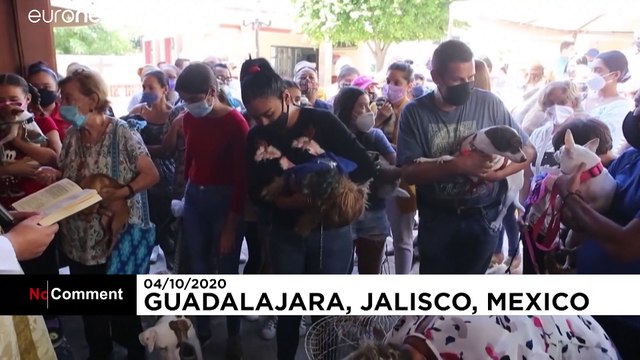 Animais abençoados na Igreja de São Francisco de Assis