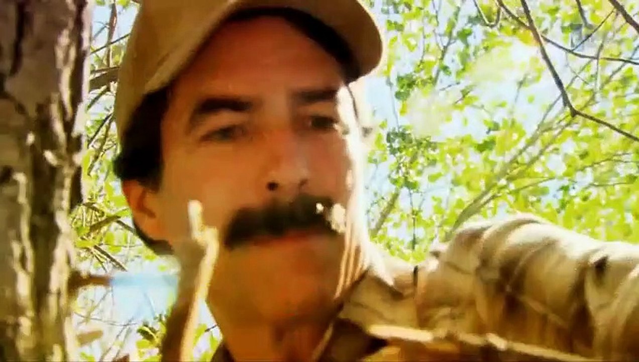 Agressions animales épisode 10