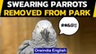 England: 5 Parrot who used foul language at visitors removed from the wildlife park|Oneindia News