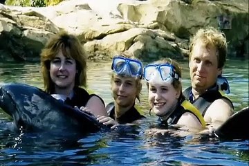 Agressions animales épisode 11