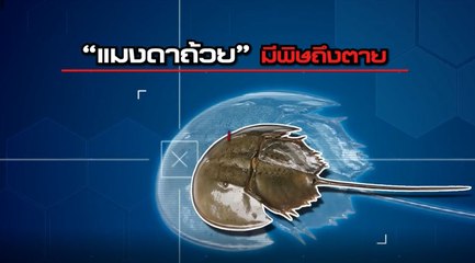 คับข่าวครบประเด็น วันจันทร์ที่ 5 ตุลาคม 2563