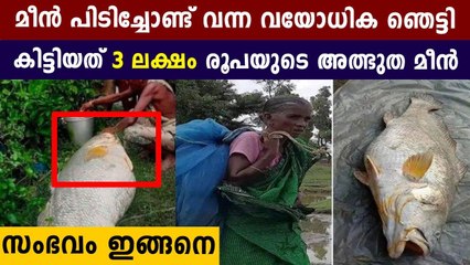 West Bengal Woman Turns Lakhpati After Catching 52-kg Bhola Fish