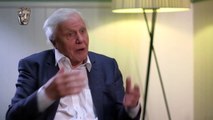 David Attenborough - “It Makes You Weep” _ David Attenborough on Humanity's Impact on the Environment, His Career, and More