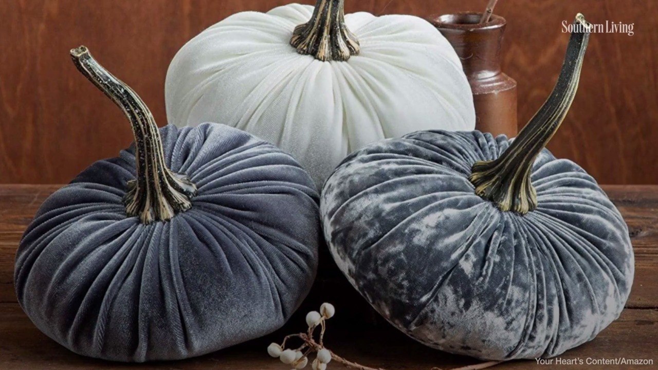 Those Viral Velvet Pumpkins Are Back in Stock on Amazon — Including Leopard Print and Plaid Patterns