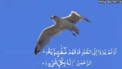 Surah Mulk Recitation in Beautiful Voice HD Video