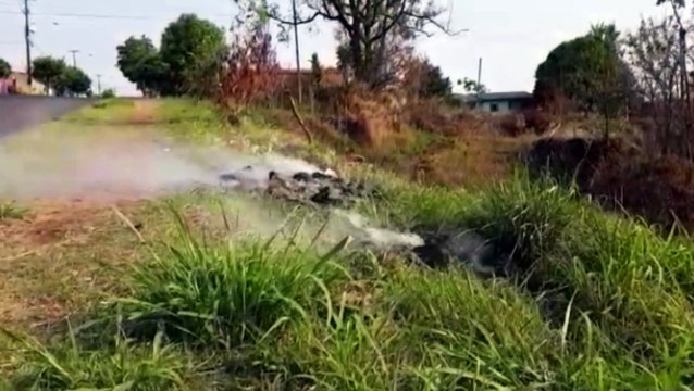 Moradores acionam Bombeiros para apagar chamas em área de vegetação no Morumbi