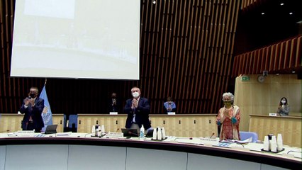 Stima dell'OMS: "Su dieci persone una è positiva al coronavirus"