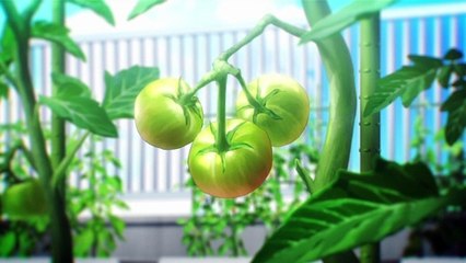 One Room Third Season Episode 1 English Subbed