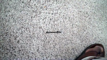 "Bpbd" Ft. (Uncle Ted Generic & Norma Gambini)