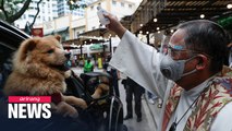Pets receive blessings in drive-through ceremony on World Animal Day