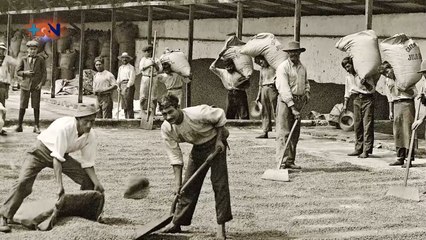 qn-celebracion-cafe-051020