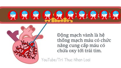 Nhồi máu cơ tim diễn ra như thế nào?