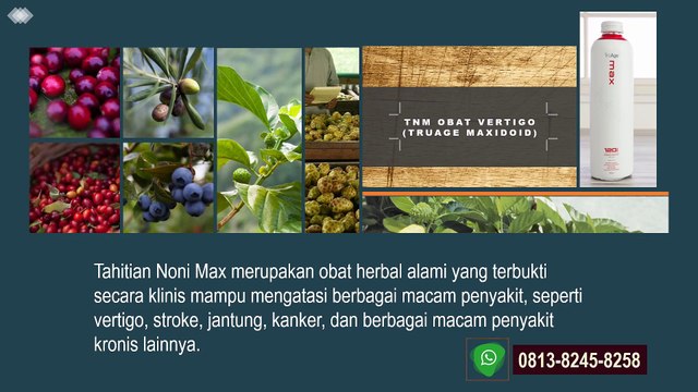 TNM Obat Liver, TNM Obat Vertigo 0813 8245 8258 (WA)