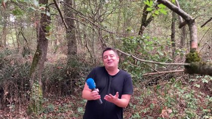 En forêt de Bouconne (31)