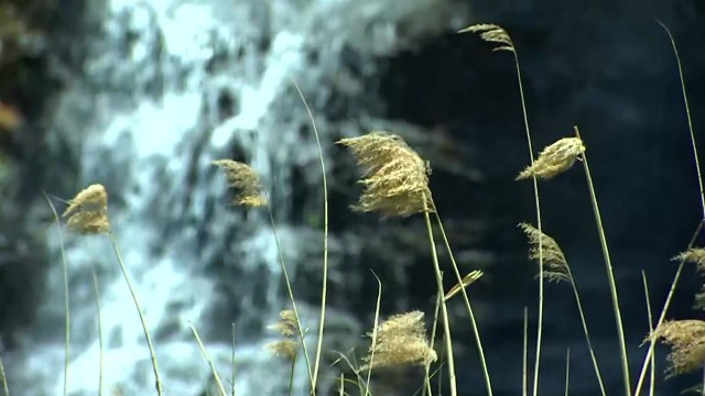 [날씨] 쾌청하고 선선...내일 아침까지 가을 추위 / YTN
