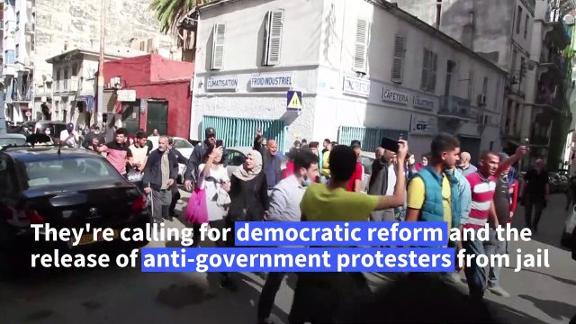 Algerians take to streets despite ban on protests