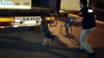 Kaçakçılık denetimleri: 7 gözaltı - ADANA