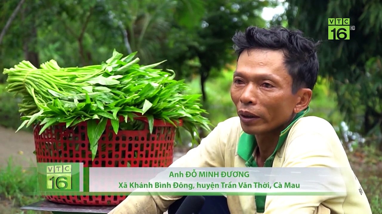 Áp thấp trên biển Đông gây mưa diện rộng | VTC16