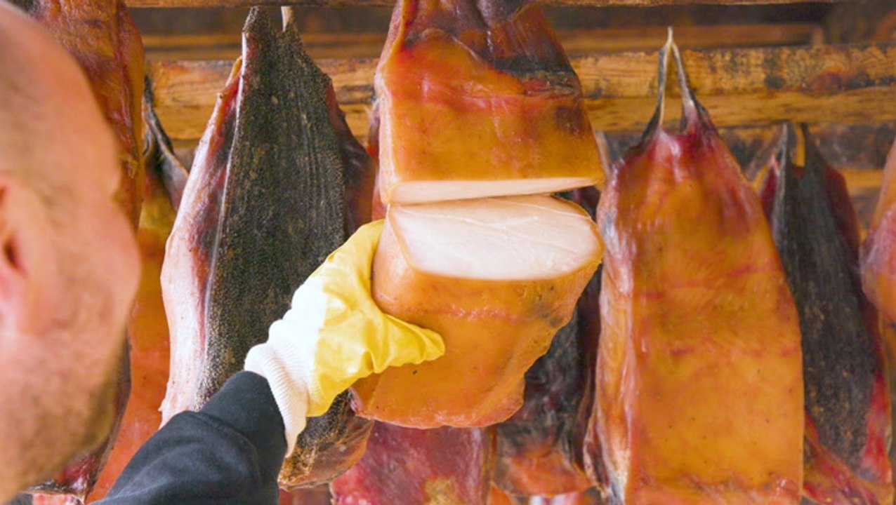 Greenland shark is the most toxic shark in the world, but one family has been curing it for hundreds of years